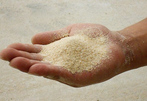 微粉砕加工の飼料用米